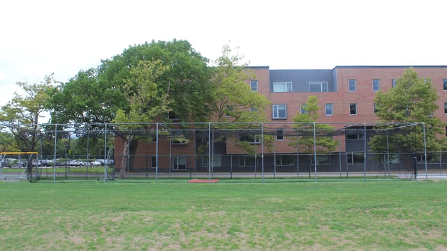 Paolino Field2