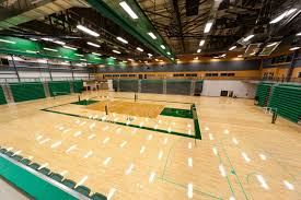 saville community sports centre basketball courts.jpeg