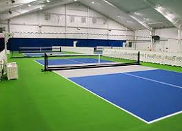 pickleball plus visit nassau county.jpeg