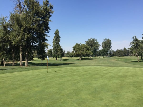 visalia greens