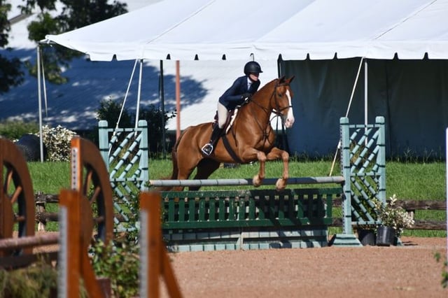 Texas Rose Horse Park 6