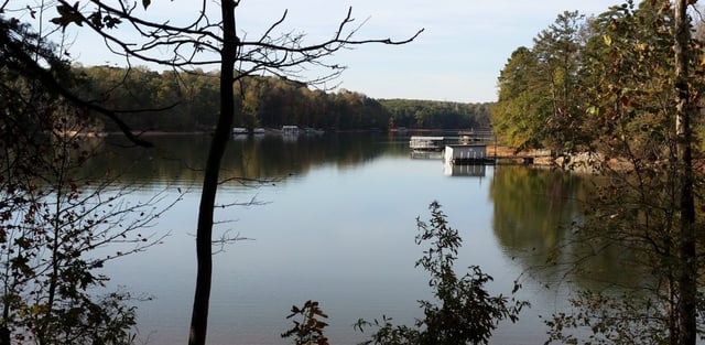 Longwood Park