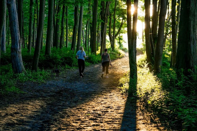 Goddard Memorial State Park6
