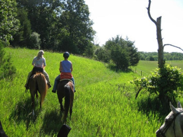 g4665-pinckneyequestrian.jpg