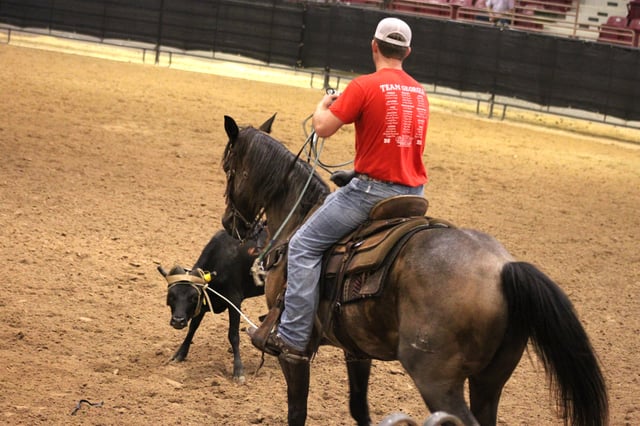 Equestrian Center 6
