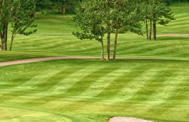 loyal oak golf course 2