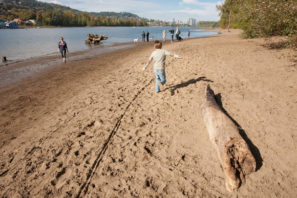 Sellwood Riverfront Park2