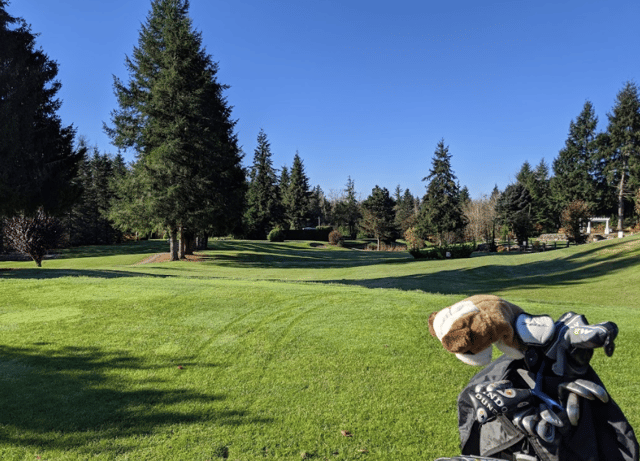 Screen Shot 2021-07-23 at 2.47.30 PM