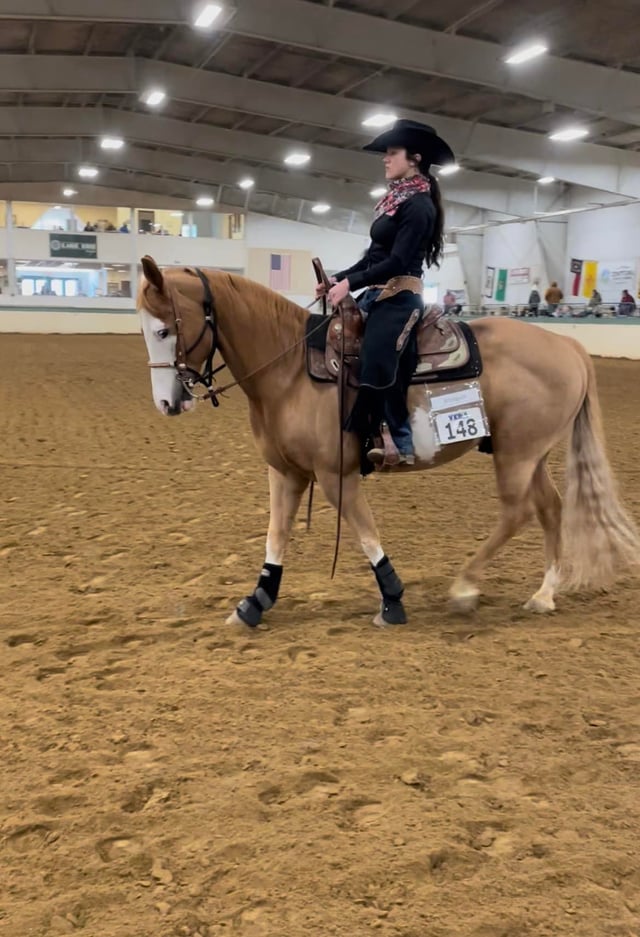 Equine Differences 6