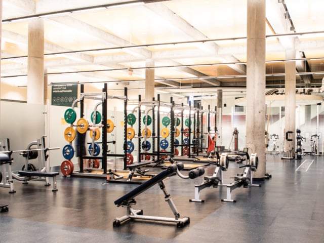 toronto metropolitan university fitness centre.jpg