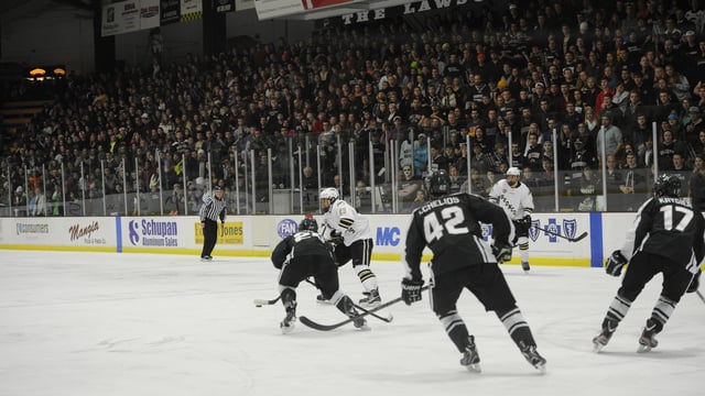 Lawson Arena