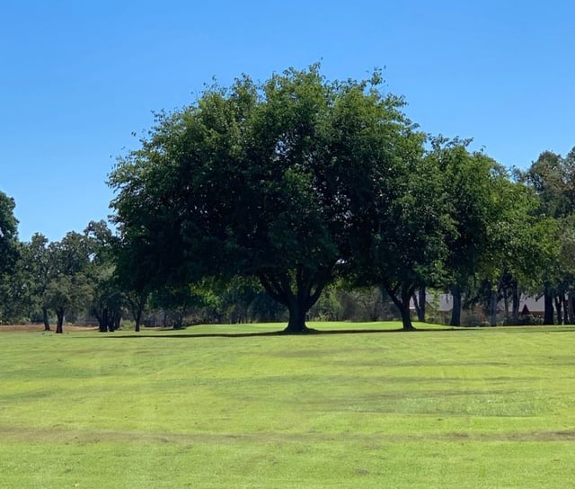 tucker oaks golf course 2
