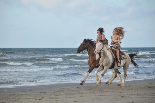 Galveston Horse and Pony Rides4