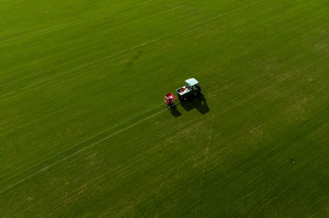 81372934_3131626120200641_8405318540927696896_n