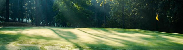 River Pines Golf Course6