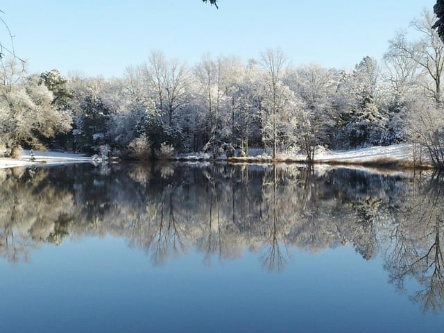 Oak Grove Plantation7