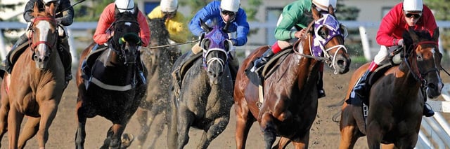  Assiniboia Downs horse track.jpeg