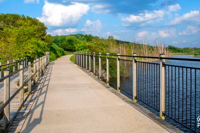 Betsie River Trail.jpg