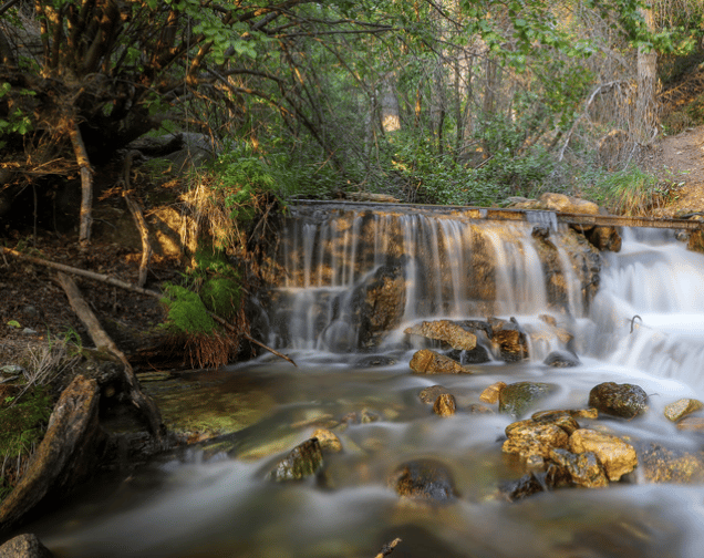 Screen Shot 2024-09-30 at 3.39.01 PM.png