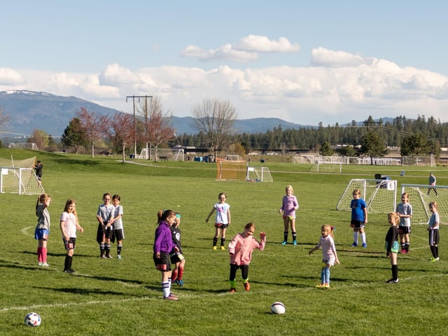 Plantes Ferry Sports Complex 4