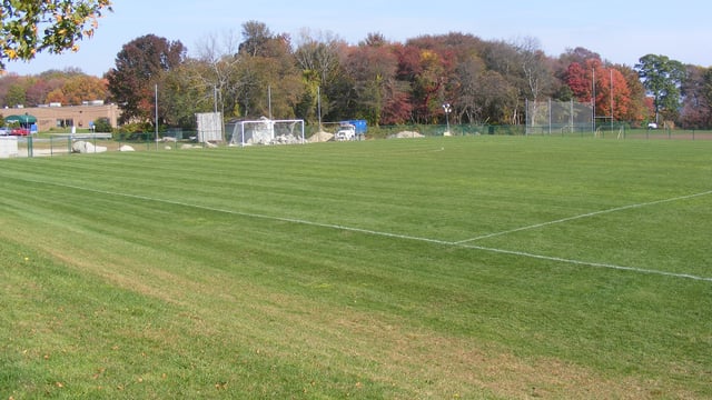 North Field & Lower Field