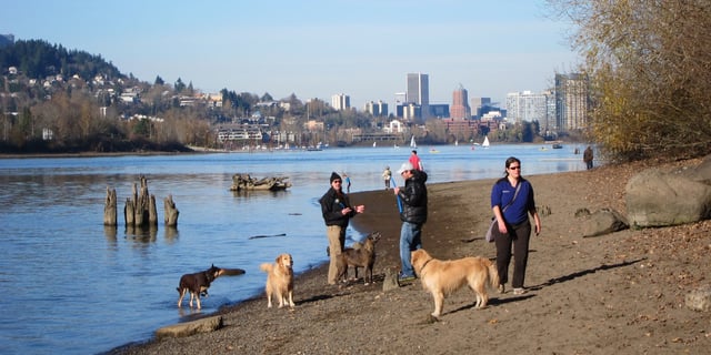 Sellwood Riverfront Park4