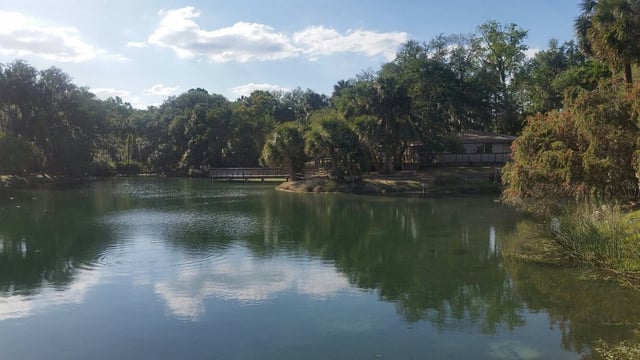 Gemini Springs Park5