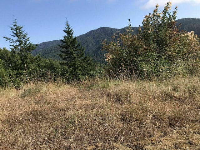 Cummins Creek Trail2