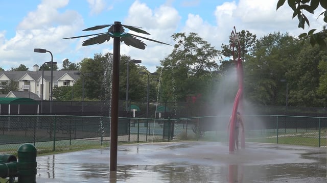 Palmetto Park11