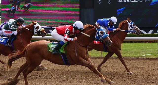ajax downs horse racing track durham.jpg