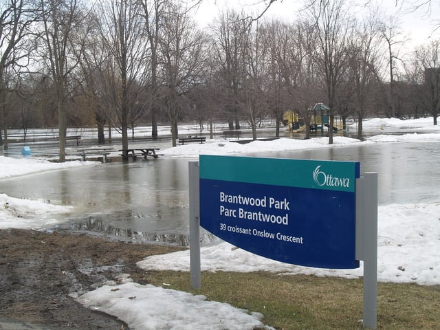 Brantwood Park 4