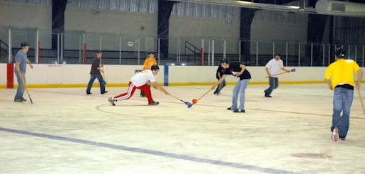 Point Mallard Ice Complex3