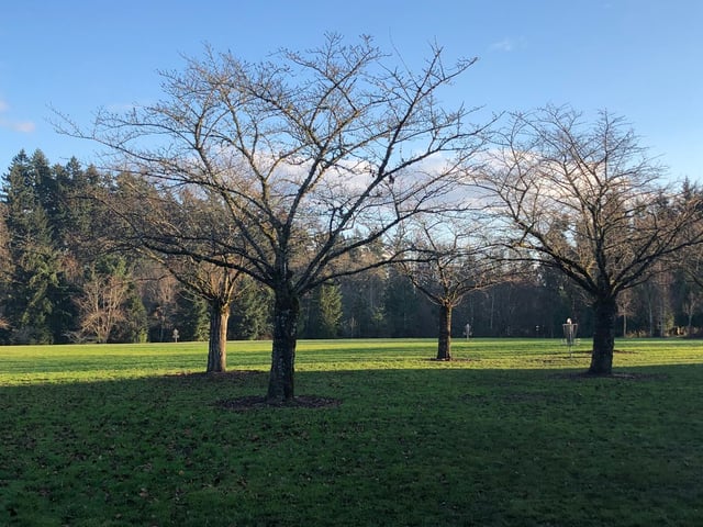 Orchard Park Disc Golf Course6
