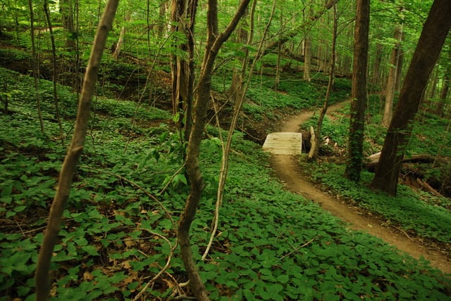 Upper Macatawa Natural Area 1