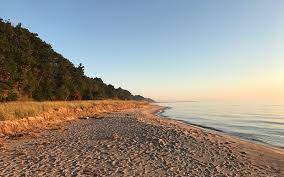olive shores 3