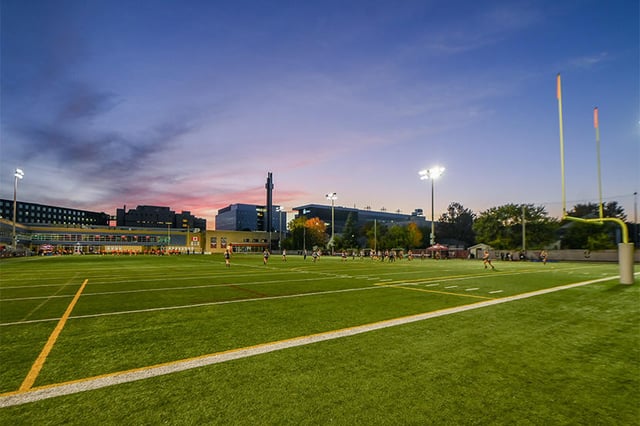 9 Matt Anthony Field.jpg