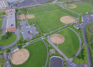 Green Tree Park 5