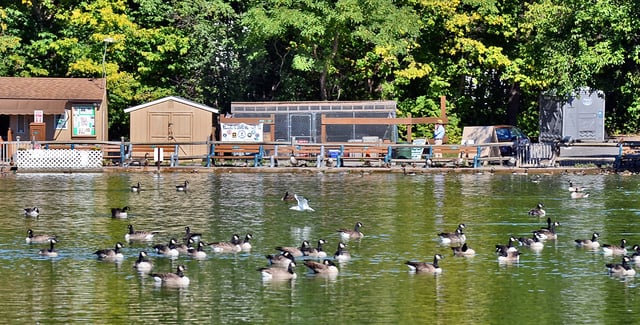 Webster Pond6