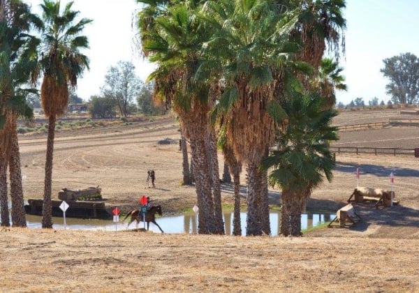 Fresno County Horse Park2