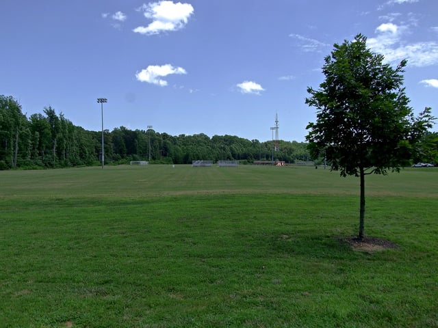 Patowameck-w-Tree-in-Foreground-scaled