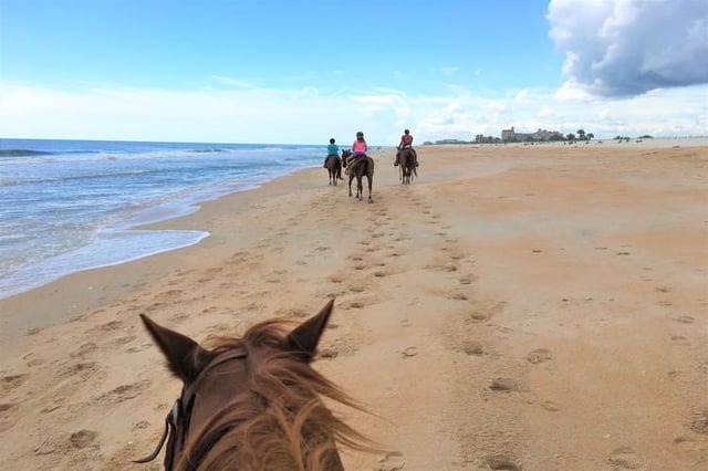 Equestrian Adventures Of Florida - Photos | Playeasy