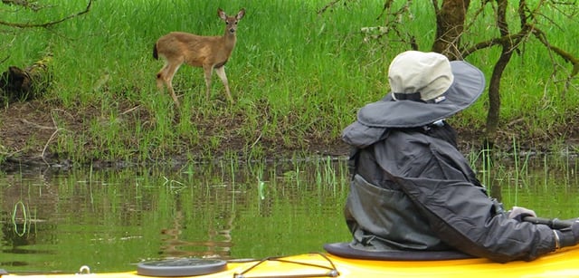 Scappoose Bay Paddling Center3