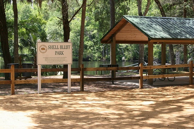 Shell Bluff Park4