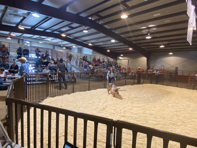 El Paso County Fairgrounds