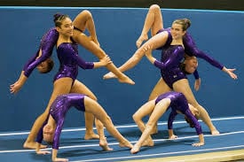 Skyview Gymnastics 4