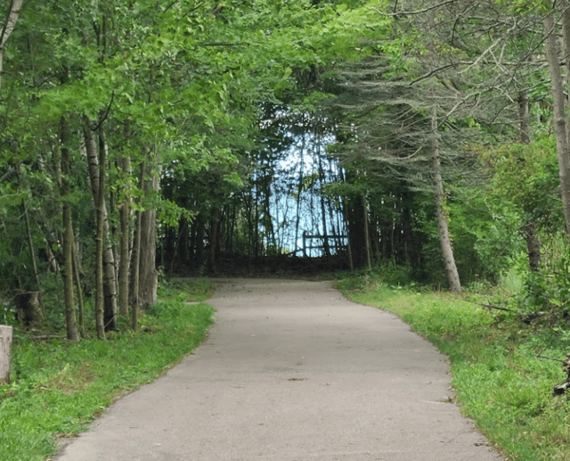 casco township nature 5