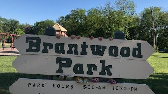 Brantwood Park 2