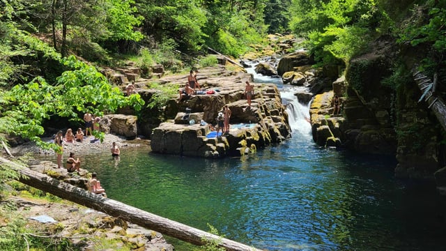 Umpqua National Forest9