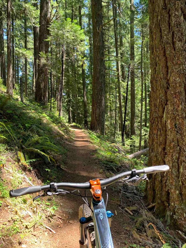 King-Castle Trail 3