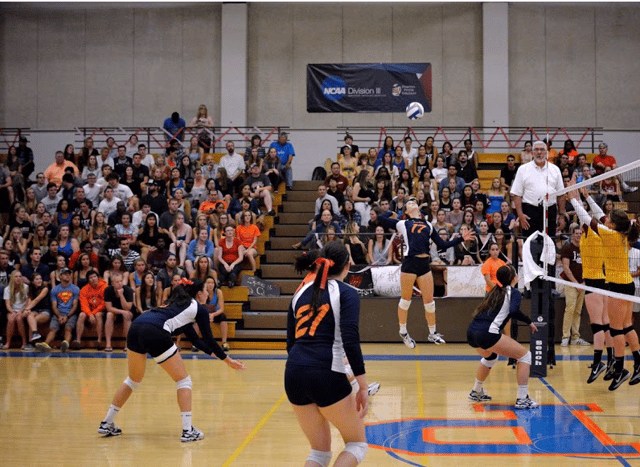 Screen Shot 2020-07-08 at 12.28.50 PM